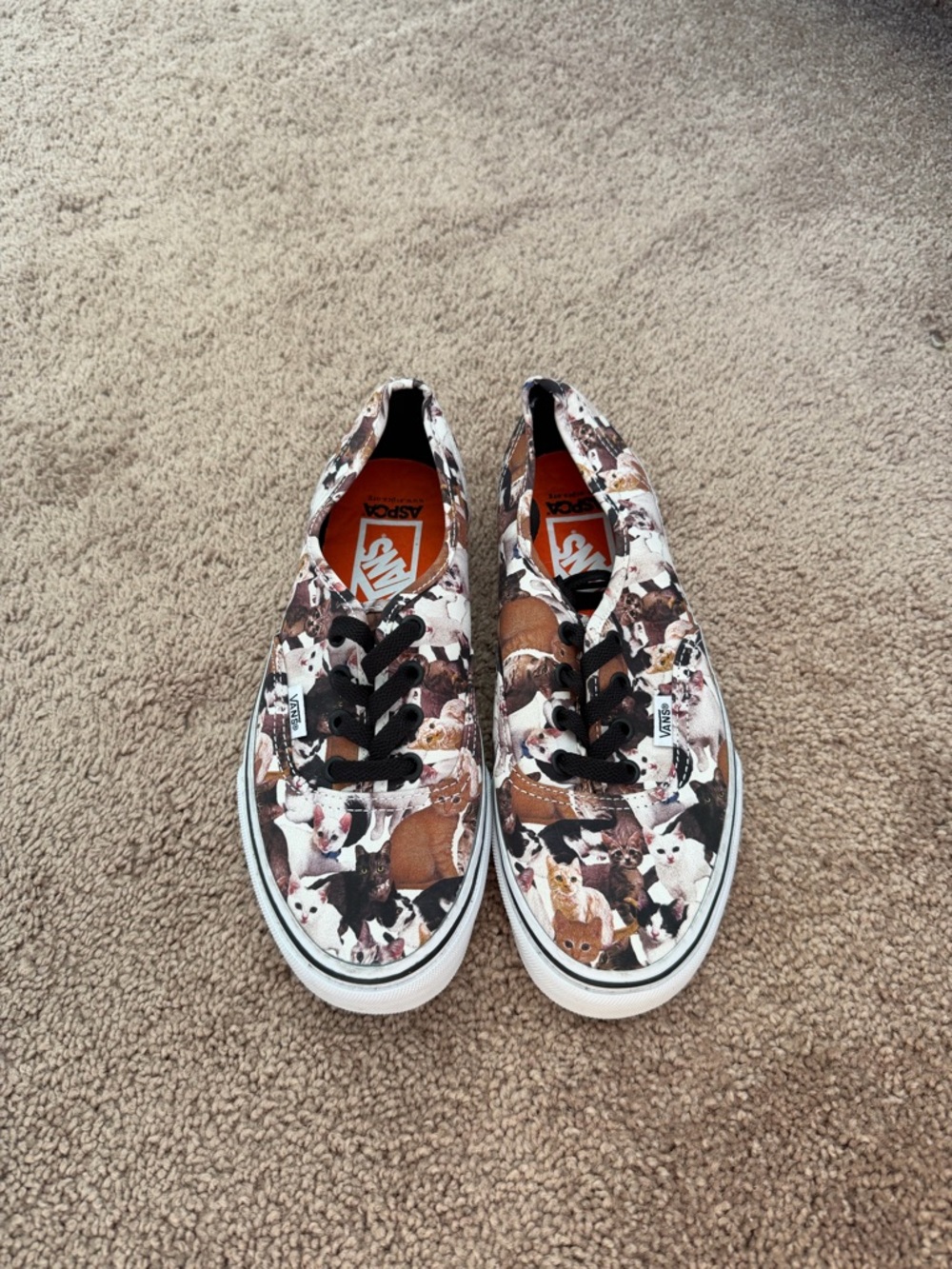 Vans cat sneaker